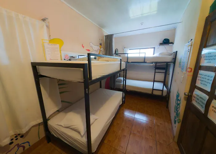 Palacios Arenal Hostel